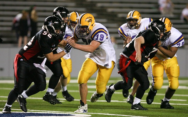 质和应变能 质和应变能