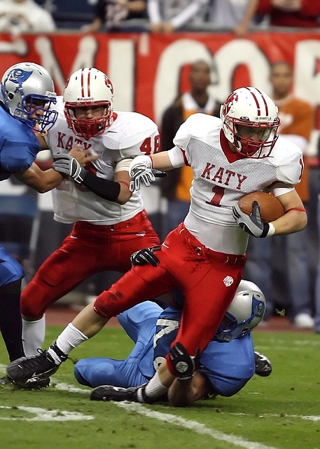 相信拜仁将 相信拜仁将