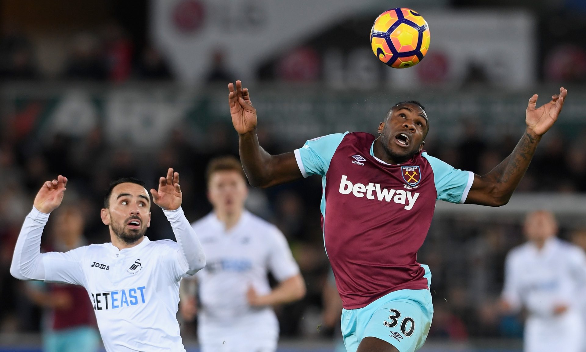 津门虎心有 津门虎心有